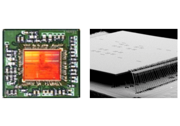 FBGA : FINE BALL GRID ARRAY